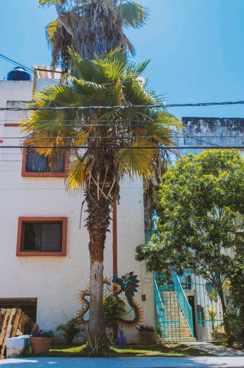 Kukulcan Hostel & Friends แคนคูน ภายนอก รูปภาพ