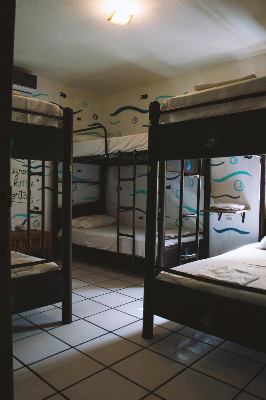 Kukulcan Hostel & Friends แคนคูน ภายนอก รูปภาพ